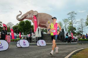 BIB: 
                            <button type="button" onclick="openModal(26529032)" class="btn btn-primary btn-sm float-right btn-popup" data-toggle="modal" data-target=".modal-high-quality">
                        <i class="fas fa-shopping-cart"></i> Add to Cart
                    </button>
                                            <button type="button" onclick="isThisMe(26529032, true)" class="btn btn-success btn-sm float-right btn-popup btn-isme hidden" data-toggle="tooltip" data-placement="bottom" title="นี่คือรูปของคุณใช่ไหม คลิกที่นี่เพื่อเอาเข้าอัลบั้ม">
                        <i class="fas fa-plus"></i> Add to album
                    </button>
                    <button type="button" onclick="isThisMe(26529032, false)" class="btn btn-warning btn-sm float-right btn-popup btn-isnotme hidden">
                        <i class="fas fa-ban"></i> Remove from album
                    </button>